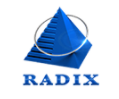 Radixweb Logo